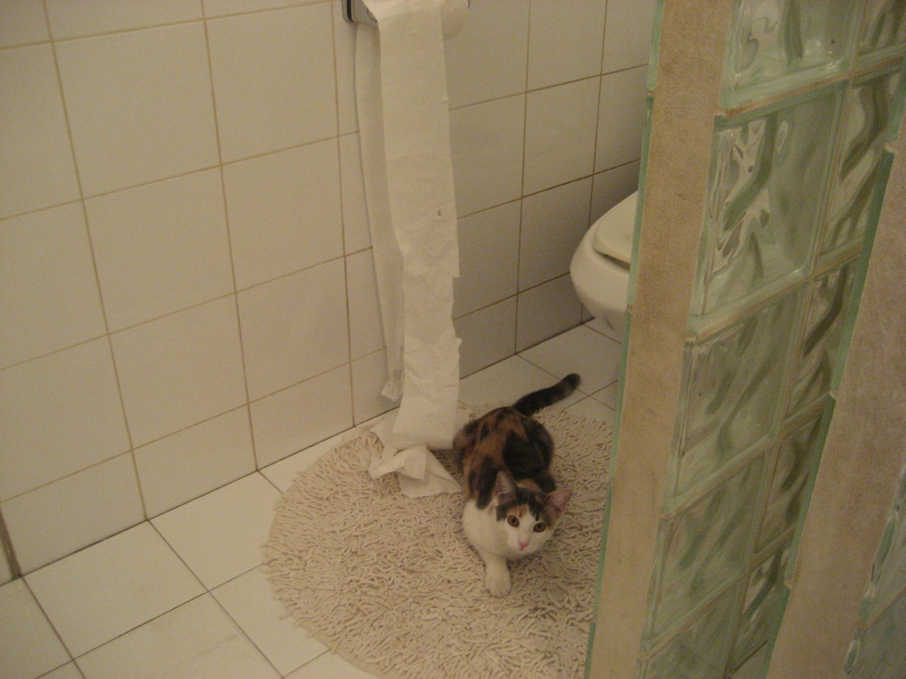 奥斯梅恩的统治级数据与丹麦的决胜局，当个人英雄主义遇上团队韧性